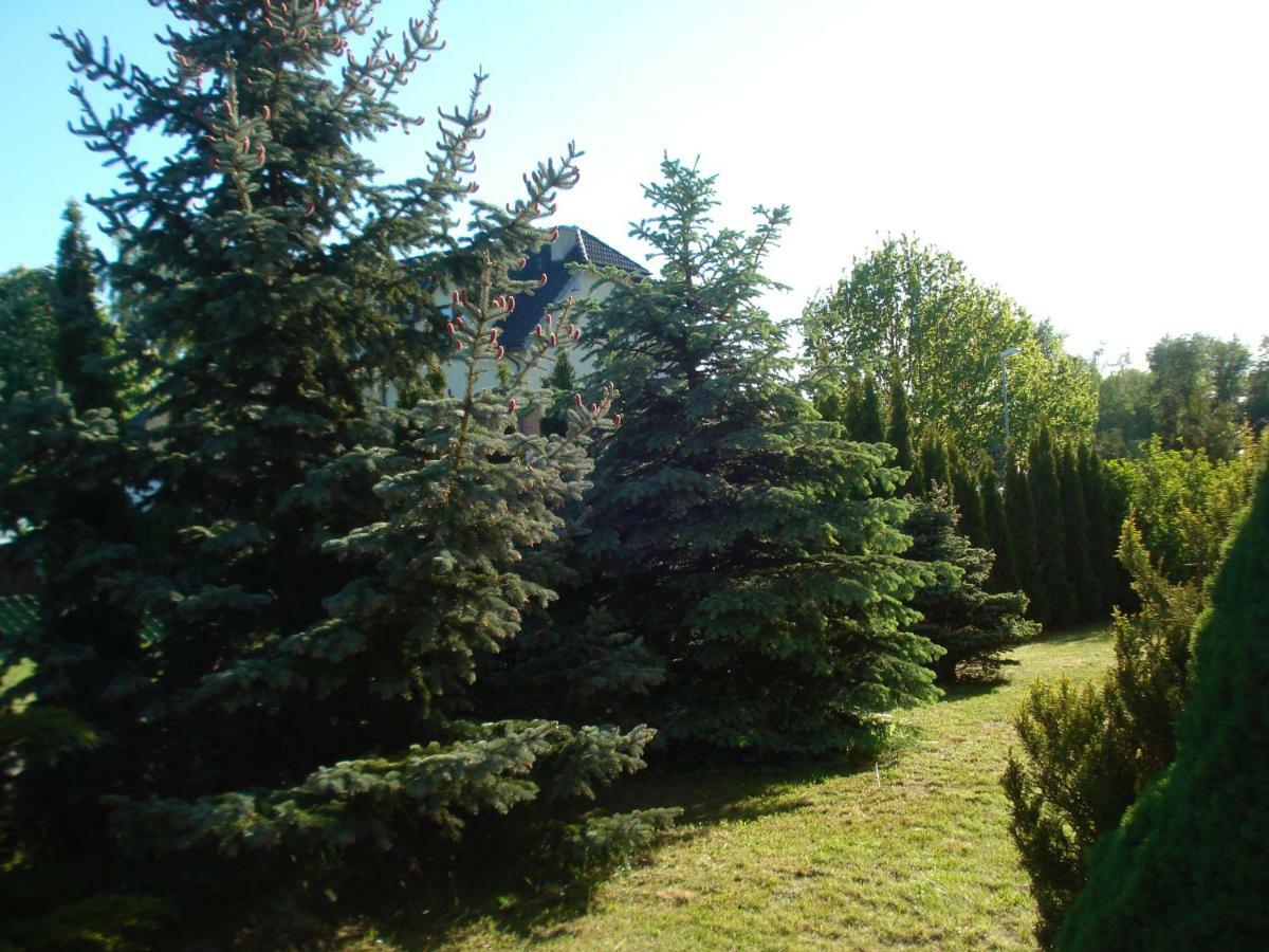 Grazyna * Dzwirzyno